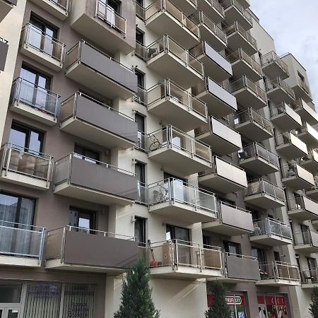 Mivardomi Accommodation Клуж-Напока Экстерьер фото